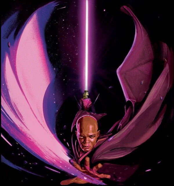 New Mace Windu Book takes a look at Qui-Gon's Past